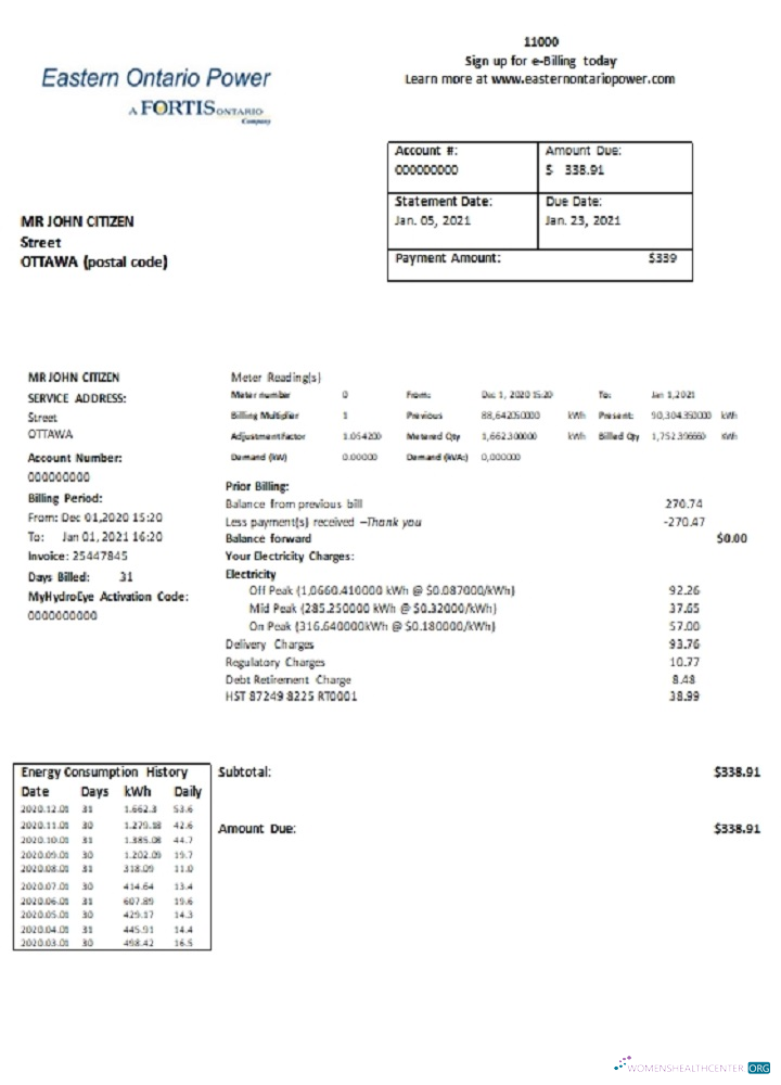 download download Canada Eastern Ontario Power utility bill